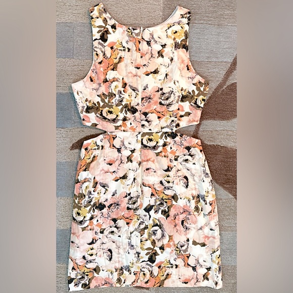 Anthropologie | Ladakh Sleeveless Rosebud Mini Dress W Waist Cutouts - Picture 3 of 8